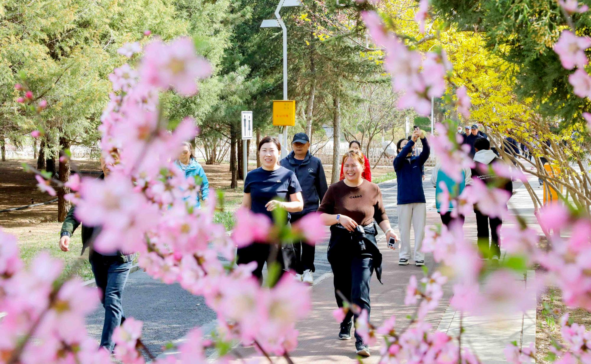 万物复苏春满城