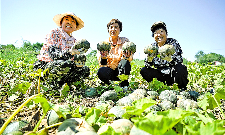 丰收的喜悦