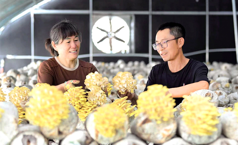 特色产业助增收